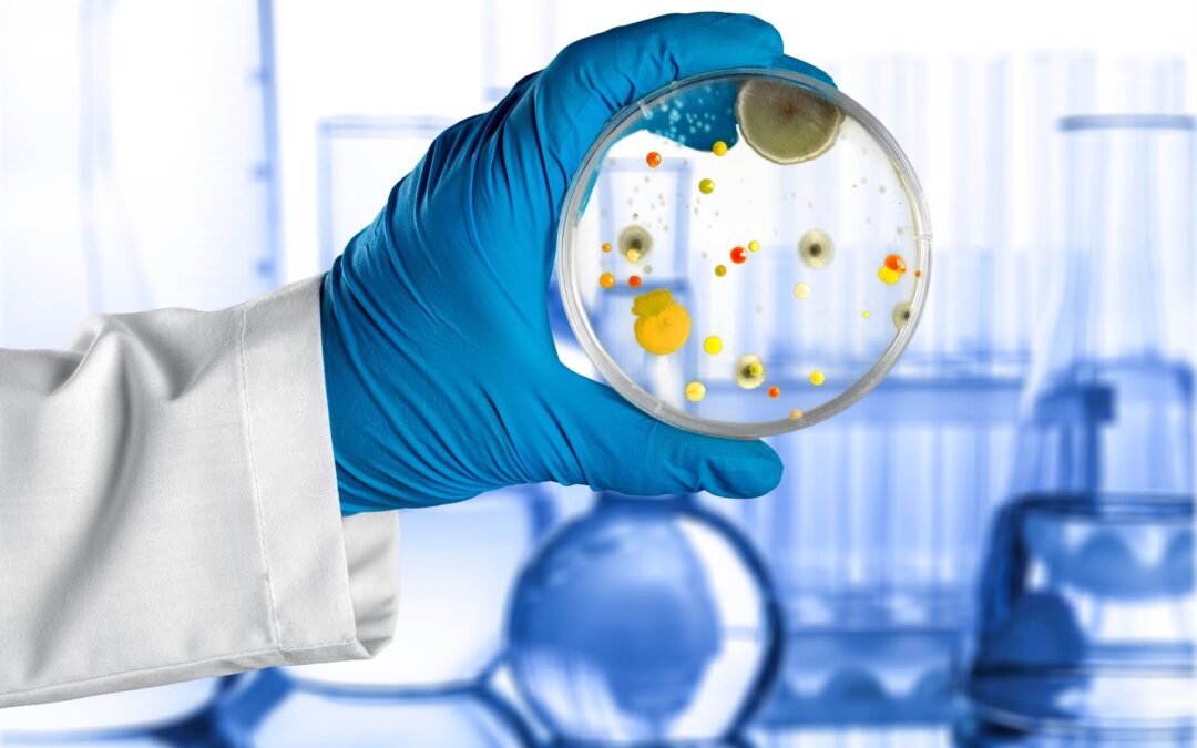 Diplomado de bacteriología clínica y resistencia bacteriana 2024